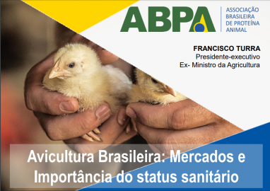 Avicultura Brasileira: Mercados e Importância do status sanitário - 26/01/2017