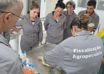 16143601_149652_GDO.