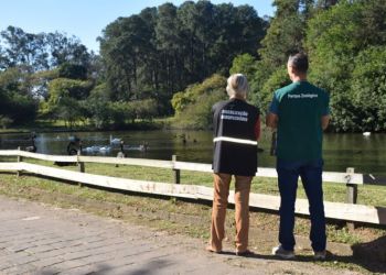 1_foco_de_gripe_aviaria_no_zoologico_de_sapucaia_do_sul_e_encerrado_apos_14_dias_sem_mortes_de_aves-11292942.