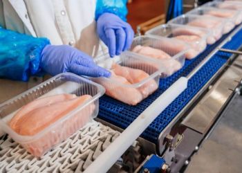 avicultura-exportacao-de-frango-1024x683-1