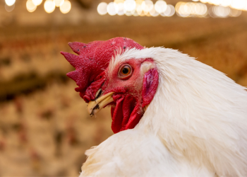 961c05ad-9c9c-4f75-a4de-f7b98ff2243c