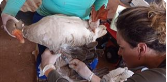 image_2025_02_18T17_07_34_217Z