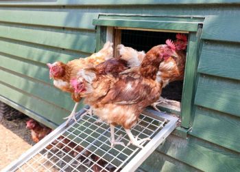 jan417970-005-2048x1366-1.