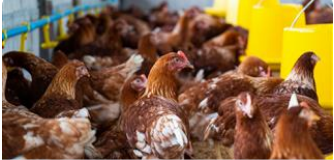 image_2025_01_30T13_05_40_314Z