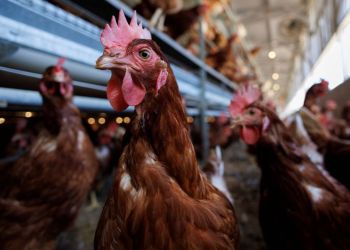 165602167662b4e2acb5ceb_1656021676_3x2_rt