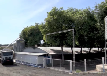 image_2025_01_27T12_42_04_448Z