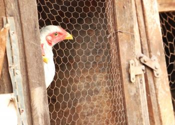 IMG-20250723-WA0041-1024x682-1