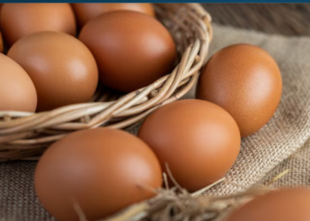 image_2025_04_22T11_59_25_044Z