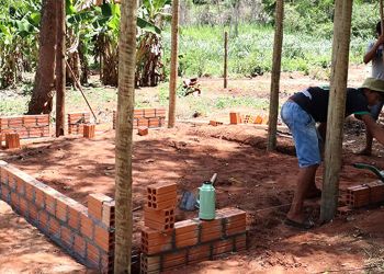 galinheiros-comunitarios-e1744898380128