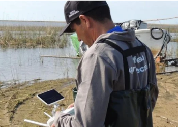 image_2025_02_24T12_36_05_592Z